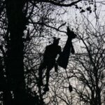 Greta Thunberg Instagram - South of France. While the French gouvernement intends to build a huge private highway (the A69) on fertile lands, wet zones and forests instead of improving the existing public roads, railways and bus, French activists from @lavoieestlibre and @gnsa_officiel organise to climb into the trees. They pacifically occupy the land in order to avoid the cutting - what’s more illegal at this time of year according to the protected species living there. Facing extreme violence from the police, as continuous tear gaz jet, siege to hinder their access to food and sleep privation, the locals made a complaint at UN. The special rapporteur on environmental defenders @forst.michel came yesterday on-site, but the situation is still tense. Activists should not face such persecutions while simply preventing illegal destruction and fighting for a liveable future for all. We need environmental democracy, not criminalisation of environmental defenders. #stopA69 Photo credits @gyppae & @alexis_pichot Saïx