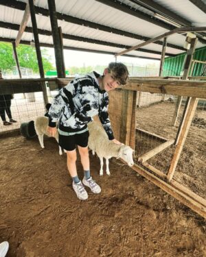 Griffin Wallace Henkel Instagram - When #yaks are curious 

#bayouzoo #crazyanimals #free #roaming #wildlife