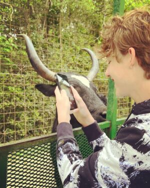 Griffin Wallace Henkel Instagram - When #yaks are curious 

#bayouzoo #crazyanimals #free #roaming #wildlife