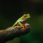 Guillaume St-Amand Instagram - Aujourd’hui est la journée mondiale de la photographie alors voici ma petite storytime. Y’a 7 ans, j’ai tout lâché pour partir à la quête de mon identité en partant en Asie avec mon sac à dos et une petite caméra Sony RX100 III. J’avais aucune attente sauf celle d’apprendre à faire de la photo, pour le fun. Jamais je n’aurais pensé que 7 ans plus tard, ce serait devenu une passion mais aussi mon métier. Ça m’a apporté aux 4 coins du monde, m’a permis de travailler avec des brands que j’adore et de rencontrer des gens inspirants. En fouillant dans mes photos des dernières années, je vois mon évolution, parce que faire de la photo c’est - selon moi - plutôt spirituel, puisque ça reflète la vision qu’on a de la vie.