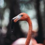 Guillaume St-Amand Instagram - Aujourd’hui est la journée mondiale de la photographie alors voici ma petite storytime. Y’a 7 ans, j’ai tout lâché pour partir à la quête de mon identité en partant en Asie avec mon sac à dos et une petite caméra Sony RX100 III. J’avais aucune attente sauf celle d’apprendre à faire de la photo, pour le fun. Jamais je n’aurais pensé que 7 ans plus tard, ce serait devenu une passion mais aussi mon métier. Ça m’a apporté aux 4 coins du monde, m’a permis de travailler avec des brands que j’adore et de rencontrer des gens inspirants. En fouillant dans mes photos des dernières années, je vois mon évolution, parce que faire de la photo c’est - selon moi - plutôt spirituel, puisque ça reflète la vision qu’on a de la vie.