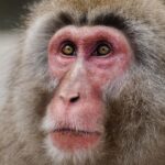 Guillaume St-Amand Instagram - Aujourd’hui est la journée mondiale de la photographie alors voici ma petite storytime. Y’a 7 ans, j’ai tout lâché pour partir à la quête de mon identité en partant en Asie avec mon sac à dos et une petite caméra Sony RX100 III. J’avais aucune attente sauf celle d’apprendre à faire de la photo, pour le fun. Jamais je n’aurais pensé que 7 ans plus tard, ce serait devenu une passion mais aussi mon métier. Ça m’a apporté aux 4 coins du monde, m’a permis de travailler avec des brands que j’adore et de rencontrer des gens inspirants. En fouillant dans mes photos des dernières années, je vois mon évolution, parce que faire de la photo c’est - selon moi - plutôt spirituel, puisque ça reflète la vision qu’on a de la vie.