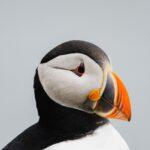 Guillaume St-Amand Instagram - Aujourd’hui est la journée mondiale de la photographie alors voici ma petite storytime. Y’a 7 ans, j’ai tout lâché pour partir à la quête de mon identité en partant en Asie avec mon sac à dos et une petite caméra Sony RX100 III. J’avais aucune attente sauf celle d’apprendre à faire de la photo, pour le fun. Jamais je n’aurais pensé que 7 ans plus tard, ce serait devenu une passion mais aussi mon métier. Ça m’a apporté aux 4 coins du monde, m’a permis de travailler avec des brands que j’adore et de rencontrer des gens inspirants. En fouillant dans mes photos des dernières années, je vois mon évolution, parce que faire de la photo c’est - selon moi - plutôt spirituel, puisque ça reflète la vision qu’on a de la vie.
