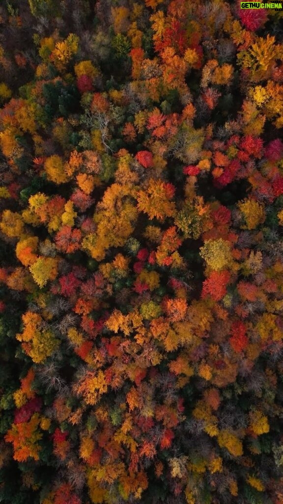 Guillaume St-Amand Instagram - Look at this beautiful artwork of Mother Nature… Take time to take it in. The music, the colors of the trees… It’s amazing. Life is wonderful. . . . #fallfoliage #fall #quebec #explorecanada #canada #djiglobal #natgeoyourshot #natgeo #planetearth