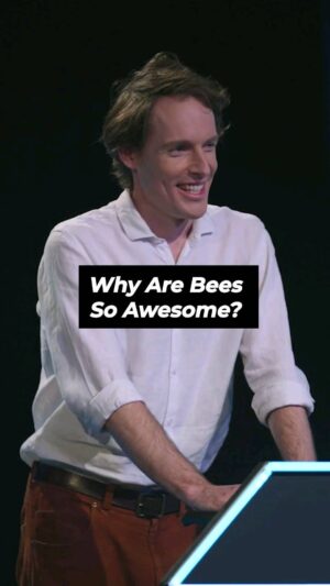 Guy Montgomery Instagram - I delivered a lecture on the television pilot for Comedians Giving Lectures (NZ) and you can watch the whole thing on the most popular television network in the world (my YouTube channel)