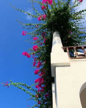 Hümeyra Aydoğdu Instagram - 2022 Bodrum 🌺

#bodrum #summer #turkey #love