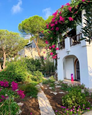 Hümeyra Aydoğdu Instagram - 2022 Bodrum 🌺

#bodrum #summer #turkey #love