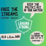 Hāwane Rios Instagram - amplifying from @officiallahainastrong 🚨 URGENT 🚨 For too long already the powerful have played politics with Hawaiʻi’s freshwater resources. The interests of private water purveyors, real estate speculators, and the US military dictate water policy behind the scenes. That is why many of our streams run dry, kalo farmers struggle, wildfires are rampant, and jet fuel lingers in the water. But today we have an opportunity to get the politics out of our water policy by supporting SB3327 to separate the Water Commission from the Department of Land and Natural Resources. In the aftermath of the Lahaina fires in August, those that benefit from plantation disaster capitalism made bold moves to solidify control of freshwater resources in Maui Komohana. The Governor suspended the Water Code, creating a free-for-all over freshwater in West Maui. Private water purveyors hoarded more and more water in unlined reservoirs, taking far more water than they are legally allowed or that they could reasonably use, claiming it was needed for fire suppression. Most shockingly, the Director of the Department of Land and Natural Resources folded to pressure from these private companies and removed the deputy director of the Water Commission on false allegations that he did not allow stream water to be used to fight the Lahaina wildfires. Now, we have an opportunity to liberate Hawaiʻi’s water policies from the corrupting influences of money and politics. SB3327 aims to improve implementation of the state Water Code by shielding the Water Commission’s staff and volunteer board from the influences of interests unrelated to upholding the public trust doctrine, and the proper management of surface and ground water resources for the benefit of all people. This bill converts the Water Commission’s deputy director into an executive director, reinforces the Public Trust Doctrine, and empowers the Commission with independent legal counsel and control over its budget. The time is now! Submit written testimony at capitol.hawaii.gov by Tuesday afternoon at 3:00pm. 🚨