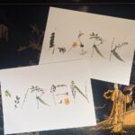 Helen George Instagram - The most beautiful prints for our birds. Thank you @wilderandwren 💕💕