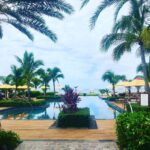 Helena Mattsson Instagram - Morning view ☕️