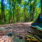 Hendrik Streeck Instagram - Einer meiner Lieblingsorte in Bonn! Kilometerlanger, verwunschener Wald und perfekt zum Joggen! #Kottenforst ❤️