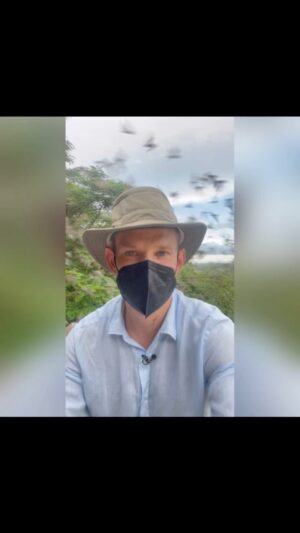 Hendrik Streeck Instagram - Kontinentensprung: Mittlerweile in PHOTHARAM, Thailand, um eine der größten Fledermauspopulationen zu besuchen. Eine Stunde lang fliegen hier abends die Fledermäuse raus. Wir durften direkt an der Höhle sein. Was kann da schon schiefgehen? 🙄

Die Maske trage ich übrigens wegen des ganzen Fledermauskots und der möglichen Pilze!