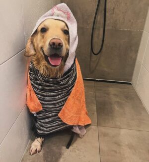 Hendrik Streeck Instagram - Aufgrund der zahlreichen Nachfragen: es folgte dann ein ausgiebiger Spa-Tag!☀️😂