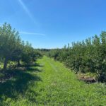 Henny Russell Instagram - Apple picking on a gorgeous day! #NoFilter 🍎☀️ Grieg Farm Red Hook NY