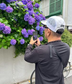Hideo Nakano Instagram - 紫陽花オジサン
今日も撮りまくってます
いい季節だ

#instagram #instagood 
#enjoy #walking #japan
#mobstar #fashion