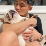 Hiroto Kyoguchi Instagram - . . . 我が家に娘が出来ました 京口白鵬です♀ 幸せになってね！ thank you "Hakuho" @hakuho_frebull