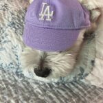 Hong Ji-hee Instagram - 자 다들 심장 부여잡아요 ♡´･ᴗ･`♡