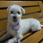 Hong Ji-hee Instagram - 자 다들 심장 부여잡아요 ♡´･ᴗ･`♡