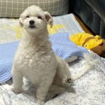 Hong Ji-hee Instagram - 자 다들 심장 부여잡아요 ♡´･ᴗ･`♡