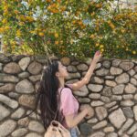 Hong Seo-hee Instagram - 🌼