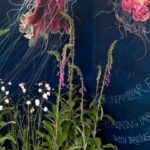 Hugh Wallace Instagram – If your at bloom this weekend pop into The Jellyfish Garden, filled with extraordinarily detailed drawings by the amazingly talented @shevaundohertyartist 
Marine biologist Tom will tell you all about these wonderful creatures. 
Do you know what a collection of jellyfish is called? 🤔 
#biodiversity #jellyfish #art Bord Bia Bloom