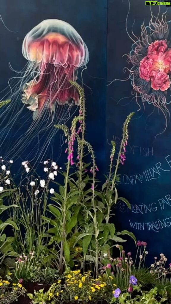 Hugh Wallace Instagram - If your at bloom this weekend pop into The Jellyfish Garden, filled with extraordinarily detailed drawings by the amazingly talented @shevaundohertyartist Marine biologist Tom will tell you all about these wonderful creatures. Do you know what a collection of jellyfish is called? 🤔 #biodiversity #jellyfish #art Bord Bia Bloom