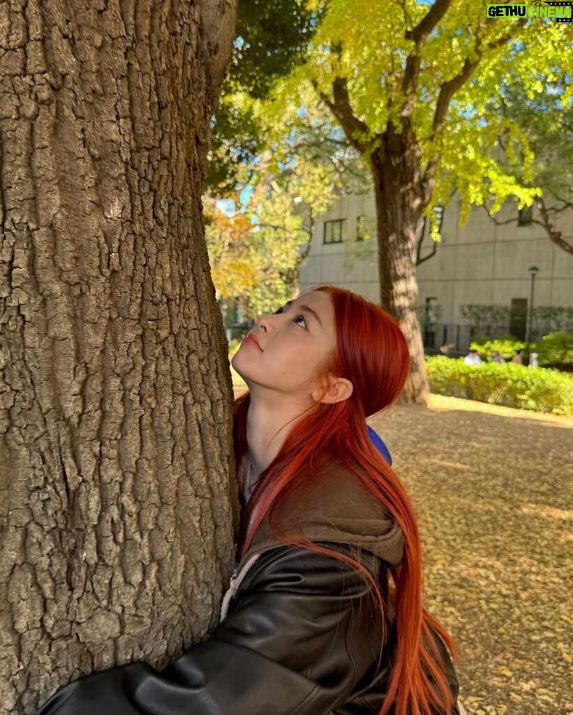 Huh Yun-jin Instagram - tree hugger