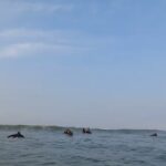 Humberto Bandenay Instagram – Mi primera experiencia en este deporte del SURF 🏄 , para ser la primera vez nada mal , en mi segunda ola 🌊 ya me estaba parando y agarrándole el timing , me gustó hacerlo así que me verán más seguido en el mar , gracias a los amigos de @high_tide_peru_surf_school , en esta oportunidad me acompañaron mis amigos de siempre @dogo89  @luis.guillermo89 !!! , deslicen para que vean los videitos 👊🏼