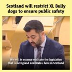 Humza Yousaf Instagram - The UK Government introduced XL Bully restrictions without consulting @scotgov. We’ve since seen concerning reports of a flow of XL Bully dogs to Scotland. To avoid unacceptable risks to public safety and animal welfare, we will urgently put in place new safeguards.