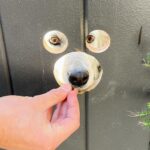 Hunter March Instagram - Cut a doggie peep hole into my gate and let’s just say, they be peeping. #dogs #dogsofinstagram