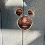 Hunter March Instagram - Cut a doggie peep hole into my gate and let’s just say, they be peeping. #dogs #dogsofinstagram