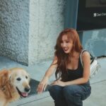 Hwasa Instagram -
