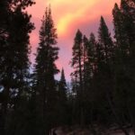 Ian Harding Instagram - Take me back. Devils Postpile, CA. #nofilter 📸 @sophiiieeehart