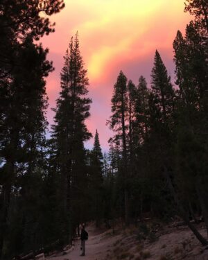 Ian Harding Instagram - Take me back. Devils Postpile, CA. #nofilter 📸 @sophiiieeehart