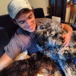 Ian Harding Instagram - Getting mobbed. Would love to see y'all's pup pics! @humanesociety #nationaldogday