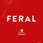 Ian Harding Instagram - Me trying REALLY hard while recording the voice over for my new doc FERAL with @escapethezoo @andrewzenn @human___design and @discoveryplus I had such a blast working on this thing and it’s on a topic that’s very close to my heart. Thanks for giving it a look!