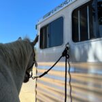 Ian Somerhalder Instagram - After being on the road coming home loading up animals and unpacking the little gifts that make my farm life so good… THANK YOU @fleetwoodrv for building my dream home away from home. The flowing river of memories created in this thing is magic. Pure magic. If you want to disconnect but have a literal circus ☺️ that you must travel with, no matter how large or small- this is the way. Wow. Just find the right place, get organized for optimal peace and just BREATHE. Good luck out there. Nature awaits you.