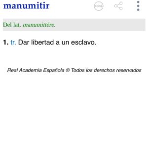 Iggy Rubin Instagram - Mala postura. 
Buen pelo.