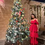 Inchara Joshi Instagram - Merry Christmas 🎅 🎄 ❤️ #inchu #inchara #incharajoshi #christmas #christmasdecor #christmastree #Xmas #Santa ##kannadaserial #actor #actress #reddress #cute #kfi #telugu #tamil #viral #trending #instagram Full Circle - Taproom • Kitchen • Culture