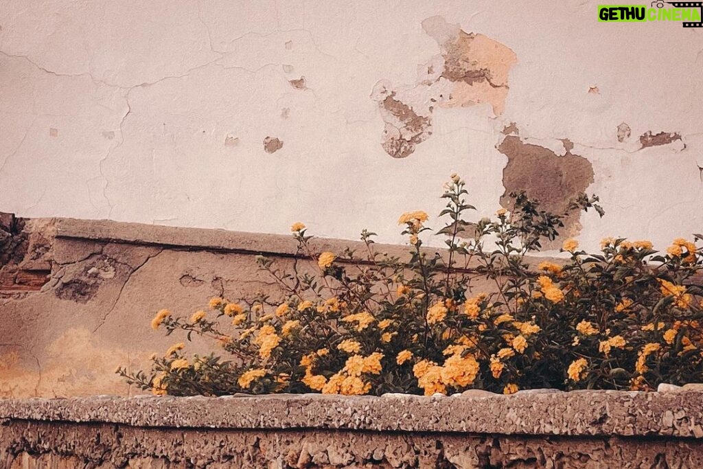 India Mullen Instagram - Greece