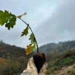 Itziar Ituño Instagram - Eskerrik asko Céline, Franzi, Linda, Becky, Ivan, Brooklin, Janire, Claudia...eta egon ezin zarete guztioi opari eder honengatik. Emakume (eta gizon) eder, eskuzabal eta maitagarriak zarie. 713 arbol urtebetze opari moduan opari benetan ederra da! Eskerrik asko, danke, danku, merci, ευχαριστώ, thanks. Marik zaidu gaitzala🌳🌳🌳🌳💫☘️🍁🍂🌱🍀🍃 Hemen bakarrik daude etorri zirenak, badakit askoz gehiago izan zinetela, guzti guztioi ESKERRIK ASKO! Gracias a todas las que vinisteis y a las que no pudisteis estar pero contribuisteis con todo el cariño a éste regalo de cumpleaños increible, plantar un bosque! Que Mari os guarde siempre💚 Urdaibai