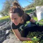 Itziar Ituño Instagram - Andaluces de Jaén Aceituneros altivos Decidme en el alma quién Quién levantó los olivos Andaluces de Jaén No los levantó la nada Ni el dinero ni el señor Sino la tierra callada El trabajo y el sudor Unidos al agua pura Y a los planetas unidos Los tres dieron la hermosura De sus troncos retorcidos Cuántos siglos de aceituna Los pies y las manos presos Sol a sol y luna a luna Pesan sobre nuestros huesos Jaén levántate brava Sobre tus piedras lunares No vayas a ser esclava Con todos tus olivares Andaluces de Jaén Aceituneros altivos Decidme en el alma quién Quién levantó los olivos (Miguel Hernandez) Olibondo hauek Nafarroan dauz, birraititek eta aititek landatu zeuriezan...bete behar gogor eta zorrotza benetan olibak batzea. Gorputza lehertu arteraiño gogorra, arima harrotasunez betetzeraiño ederra...taldean, familian, lagun artean egiteko lana.