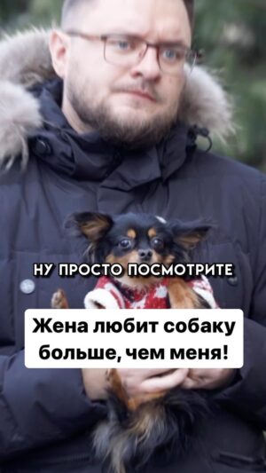 Ivan Polovinkin Instagram - Жена любит собаку больше, чем меня! #comedyclub #comedy #tnt #половинкин #собака #жена #моя #жиза #друг #семья #приколы