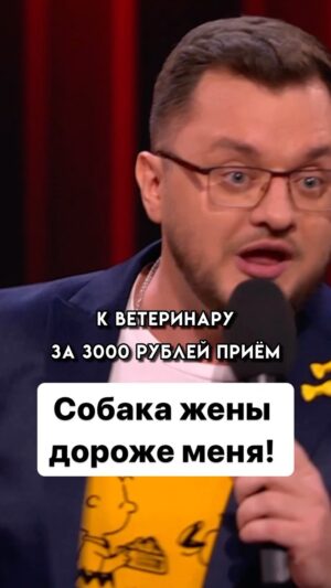 Ivan Polovinkin Instagram - Собака жены обходится дороже меня! #comedyclub #comedy #tnt #половинкин #собака #жена #семья #муж #приколы #друг #подруга #жиза