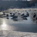 Ivan Zhvakin Instagram - Проезжая по новым городам и каждый день посещая разные площадки, начинаешь видеть всё в сравнении. Состояние театров, зритель и такие разные города. В некоторые я бы вернулся еще раз и лучше летом 😉 Мои фавориты сегодня — Ижевск, Екатеринбург и Елец! Прелестные чудо-города! Каждый со своей атмосферой и очарованием. Особенно Елец. Гуляешь по историческим улочкам и видишь столько сохранившихся старинных домов! Хочется идти и идти, не останавливаясь, пока так не обойдёшь весь город. Жаль, что для этого нужно больше времени, чем есть во время гастролей. Самая лучшая сцена на которой мы играли была в Ижевске! Просторное закулисье и толковая аппаратура дают ощущение профессионализма от и до👍 А рядом с Екатеринбургом находится любимый мною Челябинск! Надеюсь, что и в нем окажусь снова. Был уже несколько раз, но так и не насладился вдоволь! Из города в город остаётся неизменным одно — очень внимательный и наслаждающийся нашей русской классикой зритель! Это не может не радовать! Спектаклю это предаёт особенный смысл. Надеюсь, что в нашей необъятной ещё множество таких же приятных мест и душевных зрителей, к которым мне захочется возвращаться снова и снова. #иванжвакин