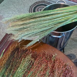Ivy Winters Instagram - My adventures in broom making! What an incredible plant. These stalks are so tall! Some are 13-14 feet! I’m using a hair comb to remove the seeds from the broom fibers. Its like brushing one of my old wigs 😂 At this rate I’ll have enough saved seeds to grow acres of broom corn next year 😂😆🌱🌱🌱 #broomcorn #broommaking #diy #handmadebroom #broom #homogrown #brushthatwig #seedsaving #harvest #sorghum