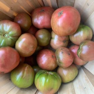 Ivy Winters Instagram - Yesterday’s tomato harvest! Can you tell I love Heirloom tomatoes?! Sad that we can’t eat all of them as slicers so I better get to canning! #indigobluebeauty #heirloomtomato #homogrown #tomato #harvest #carbon #cherokeepurple #cherrytomatoes #sungold #unicorn #germangreen #cherokeecarbon #sanmarzano