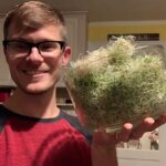 Ivy Winters Instagram - Happy Tuesday everyone! Wanted to share with you one of my favorite things to grow.......SPROUTS! Alfalfa and peas are my favorites.... any sprouters out there? What’s your fav?! #sprouts #homogrown #alfalfa #salad #greens #goodforyou #happyfood #naturespubes