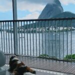 Júlia Gomes Instagram - Um look lindo para uma vista linda! Estou completamente apaixonada pela nova coleção da @littbrasil 💚 Um conjunto mais lindo que o outro! 🌟 Rio de Janeiro, Rio de Janeiro