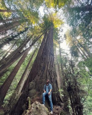 Jack Broadbent Instagram - What can I say! Absolutely breathtaking! #redwoods #california